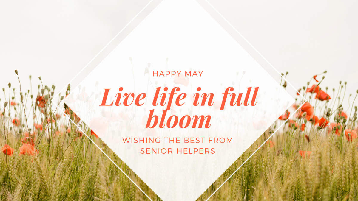 May Header 2