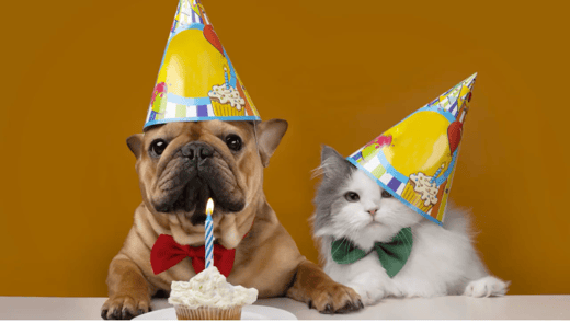 birthday animals
